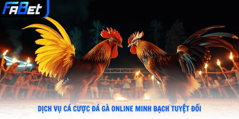 Đá Gà Fabet Live Full HD Đặt Cược 24/7 Thưởng Lớn Mỗi Ngày