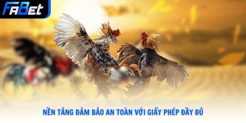 Nạp Và Cược Đá Gà Thomo Chỉ 3 Bước Rinh Thưởng Khủng