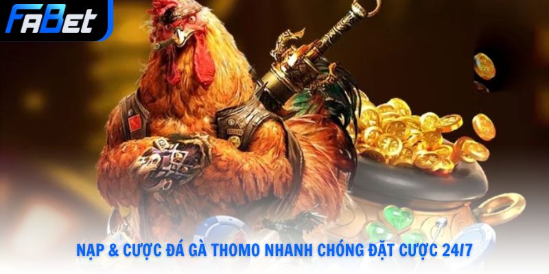 Nạp Và Cược Đá Gà Thomo Chỉ 3 Bước Rinh Thưởng Khủng